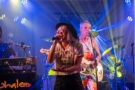 Twin Cities Rock Band Jonah and the Whales Playing Live