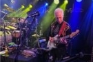 Guitarist George Paulos of Twin Cities Rock Band Jonah and the Whales Playing Live